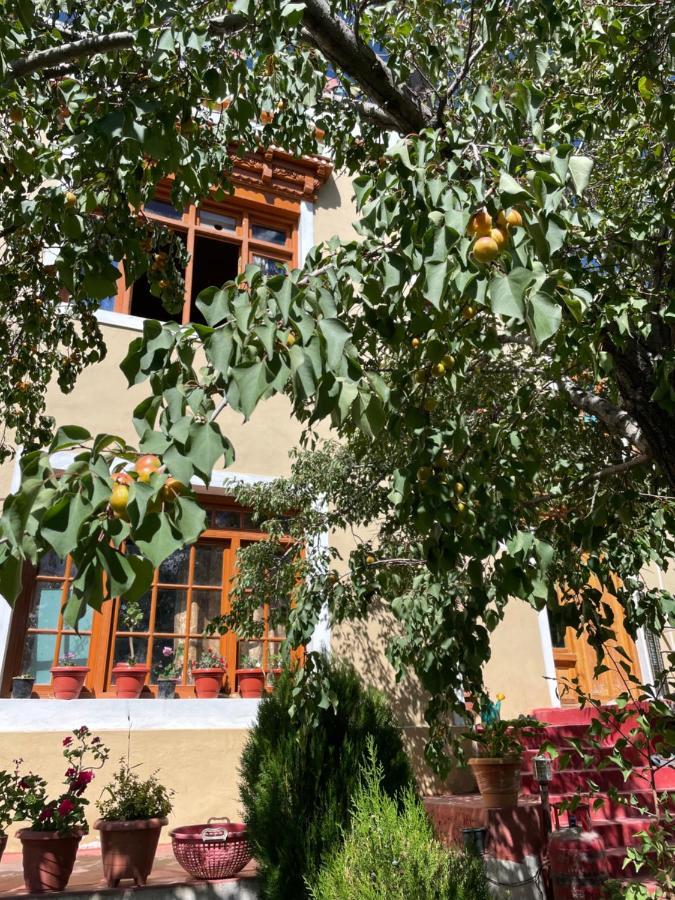 Gaywoo Guest House Leh Esterno foto