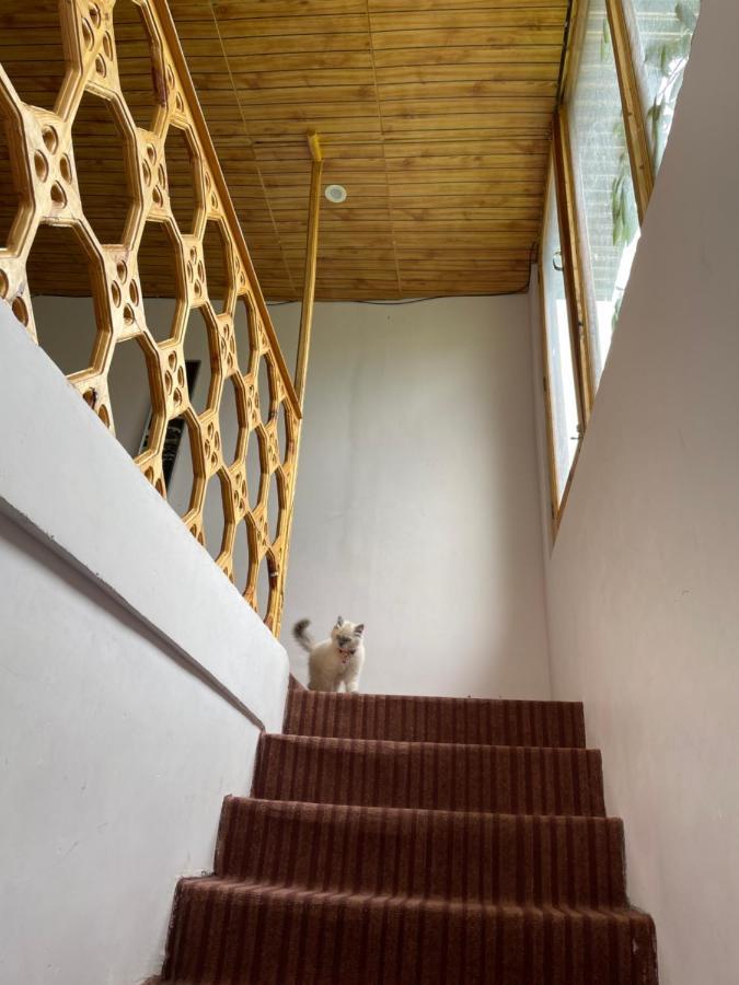 Gaywoo Guest House Leh Esterno foto